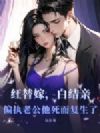 红替嫁,白结亲,偏执老公他死而复生了